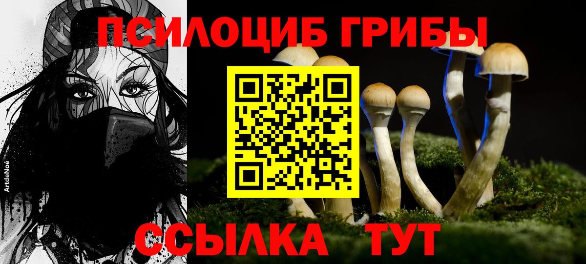 Галлюциногенные грибы прущие грибы Кудымкар