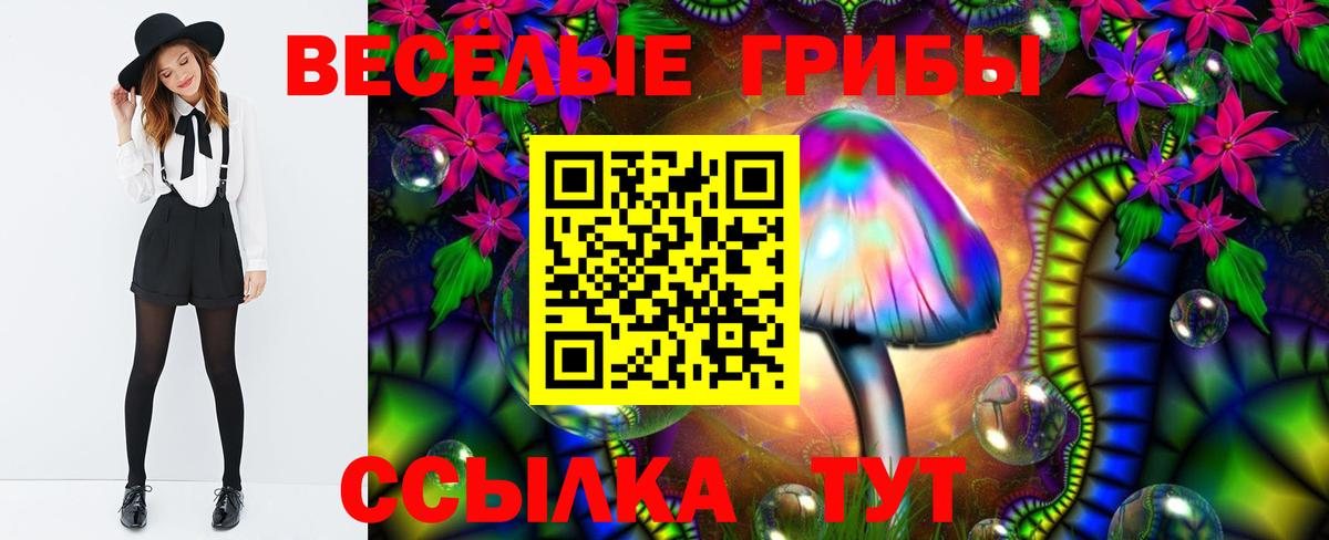 Псилоцибиновые грибы Cubensis  Вход с VPN  Кудымкар 