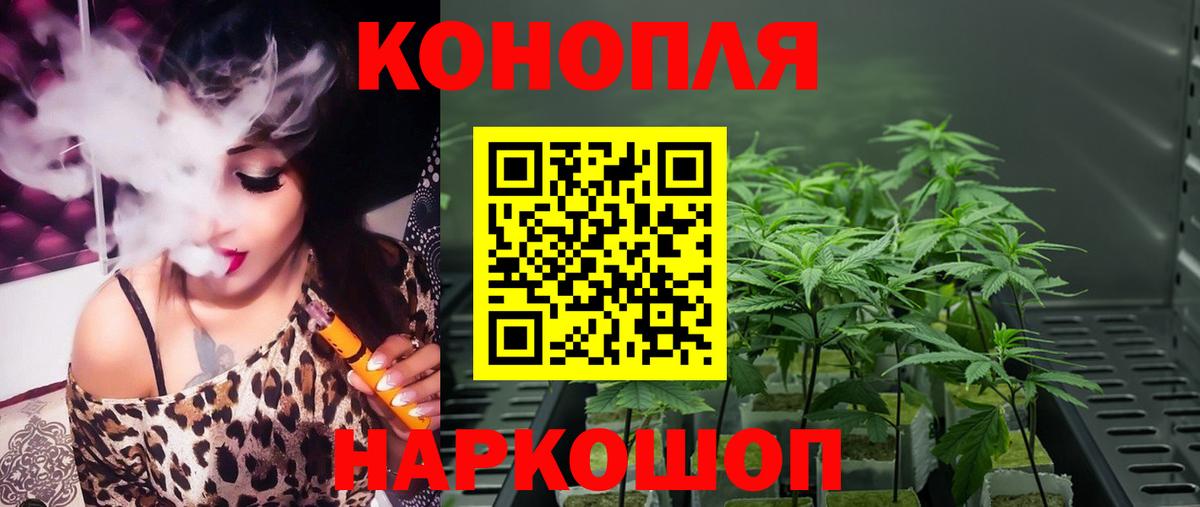 Конопля планчик  Вход с VPN  Канабис планчик  Шишки марихуана Bruce Banner  Кудымкар 